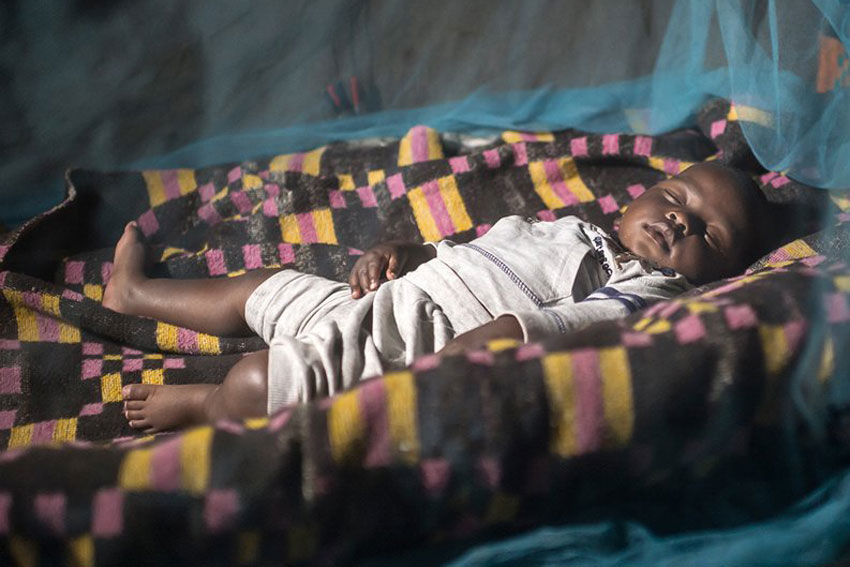 Mejora el acceso a tratamientos preventivos contra la Malaria, anuncia la OMS