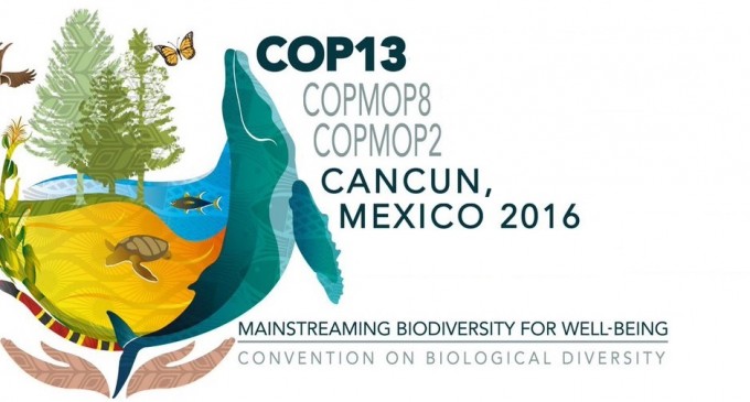 Ecuador tendrá una participación activa en la COP 13