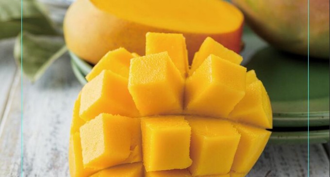 Después de 13 años, el mango ecuatoriano ingresó al mercado chino