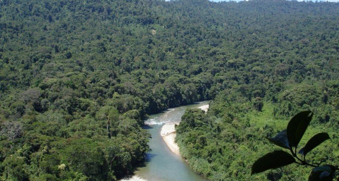 García: “La deforestación en Ecuador se redujo un 49 por ciento en los últimos 20 años”