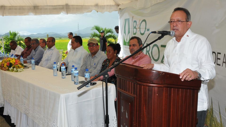REPÚBLICA DOMINICANA: Agricultura anuncia mejoramiento genético del arroz dominicano