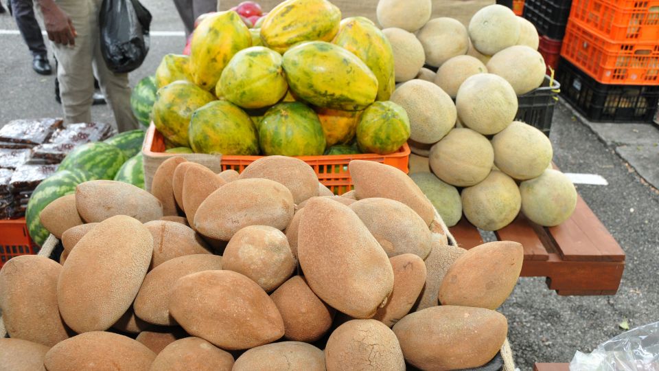 REPÚBLICA DOMINICANA: Políticas públicas en agricultura fomentan producción frutas de calidad