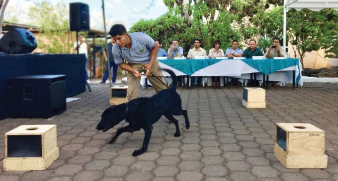 Una brigada canina impide que productos y especies prohibidas ingresen a Galápagos