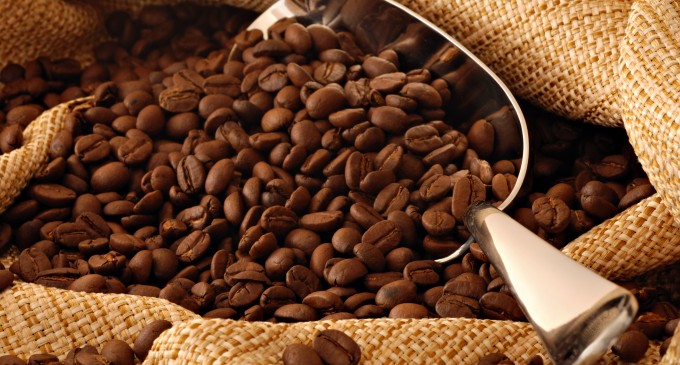 La exposición sobre el auge cacaotero presente en el Salón del Chocolate, Cacao y Café Ecuador