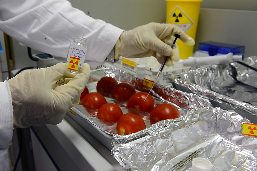 La OIEA ayudará a los países en desarrollo a detectar comida adulterada