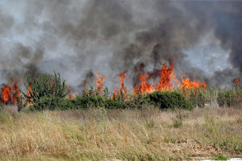 ESPAÑA:18/06/2017. El Ministerio de Agricultura y Pesca, Alimentación y Medio Ambiente envía 4 medios aéreos de gran capacidad al incendio forestal de Portugal