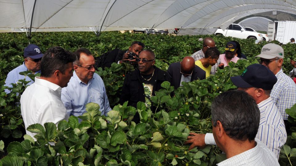 REPÚBLICA DOMINICANA: Ministros de Agricultura de Haití y RD realizan encuentro de fortalecimiento bilateral