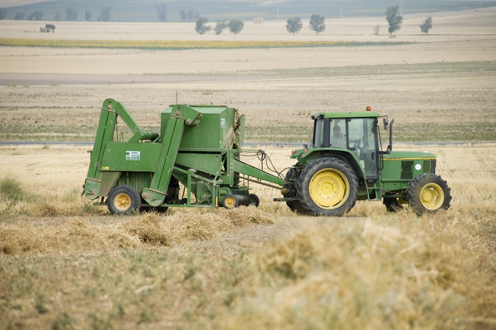 ESPAÑA:19/01/2018. El Plan Renove 2017 de maquinaria agrícola finaliza con una buena acogida por parte de los agricultores