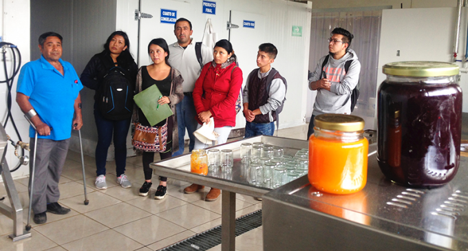 Universitarios potencializan conocimientos pre profesionales en Panzaleo, Cotopaxi