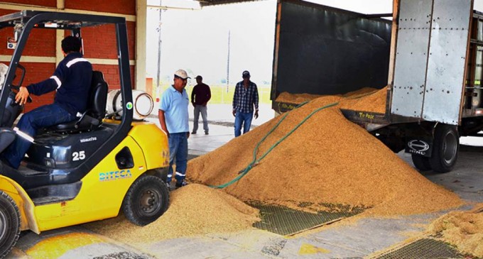 Autoridades del Gobierno se comprometen a acabar con el contrabando de arroz