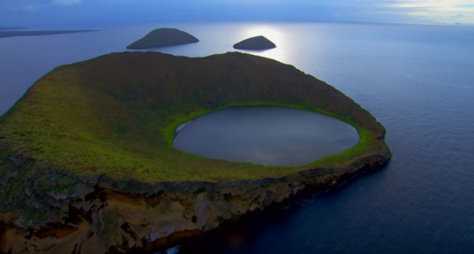 Estudio identifica áreas de vegetación invasiva en las islas Galápagos
