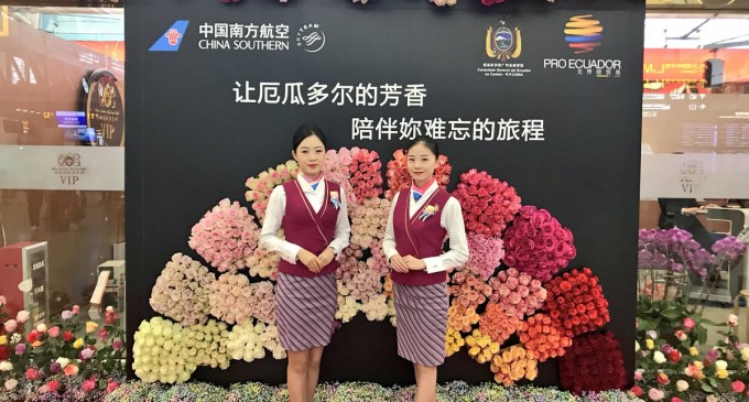 Rosas ecuatorianas vuelan hasta China para celebrar el Día de la Mujer