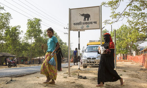 Proteger a los refugiados en Bangladesh sin perjudicar a los elefantes