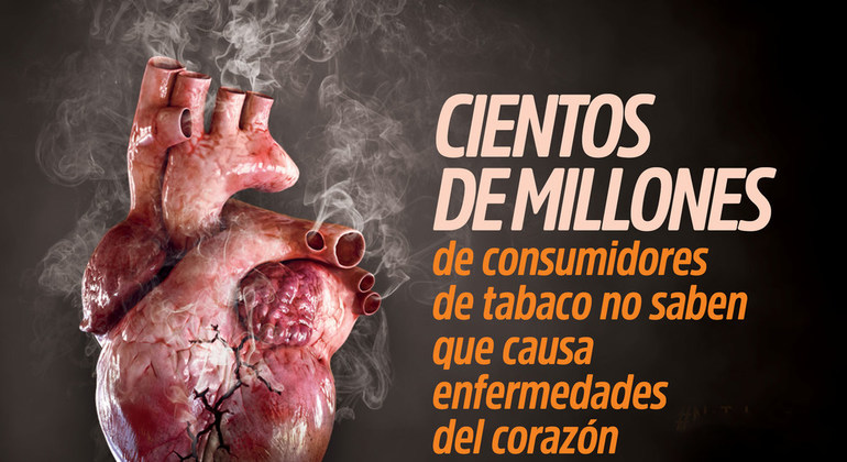El tabaco causa 3 millones de muertes al año por enfermedades cardiovasculares