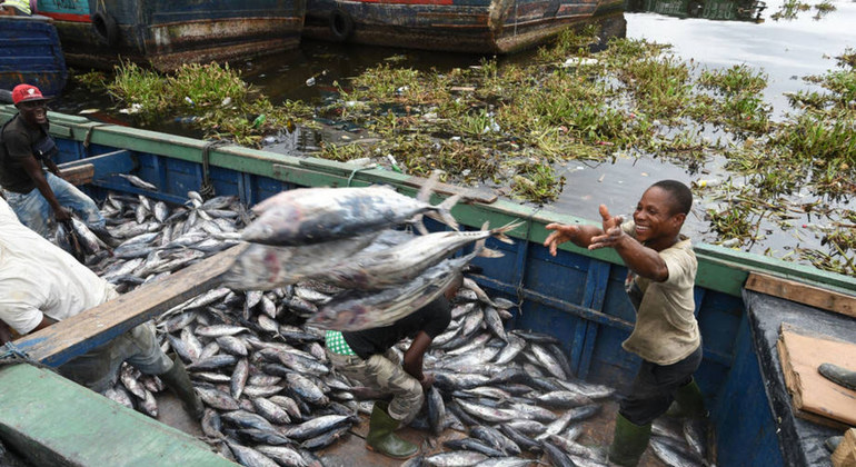 América Latina y el mundo se unen para acabar con la pesca ilegal
