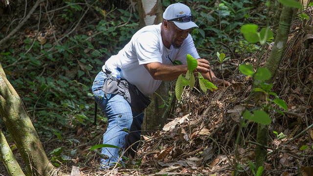 REPÚBLICA DOMINICANA: Jornada simultánea de reforestación: Barrick - UERS