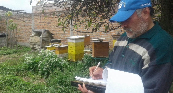 Ecuador cuenta con 1.760 apicultores registrados