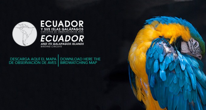 Ecuador cuenta con circuitos de observación de aves