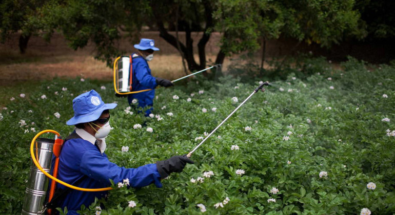La sentencia de Monsanto, una “victoria para los derechos humanos”