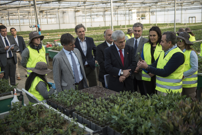 Presidente Piñera valora creación de empleo y planes de inversión en Región de Biobío
