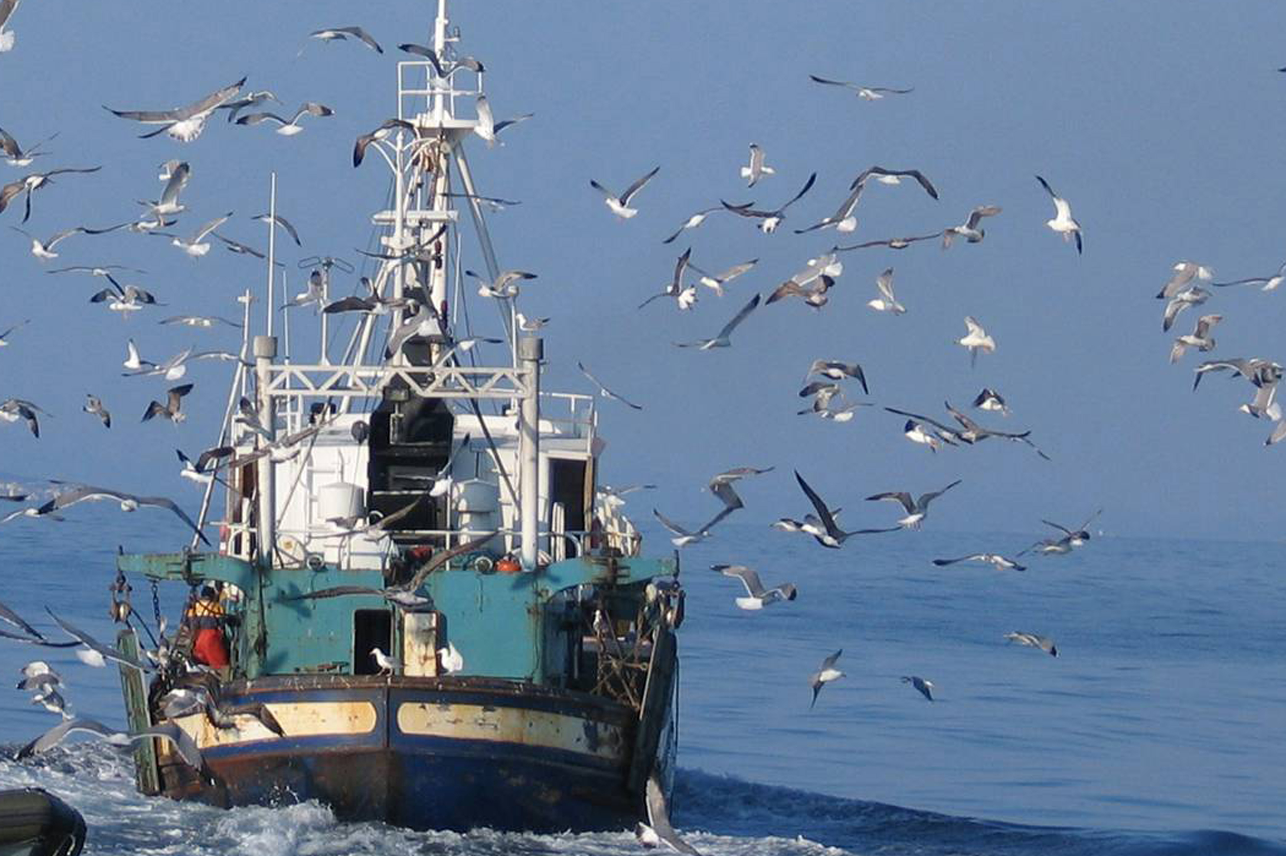 ESPAÑA: ?El Ministerio de Agricultura, Pesca y Alimentación convoca subvenciones al fomento del asociacionismo en el sector pesquero