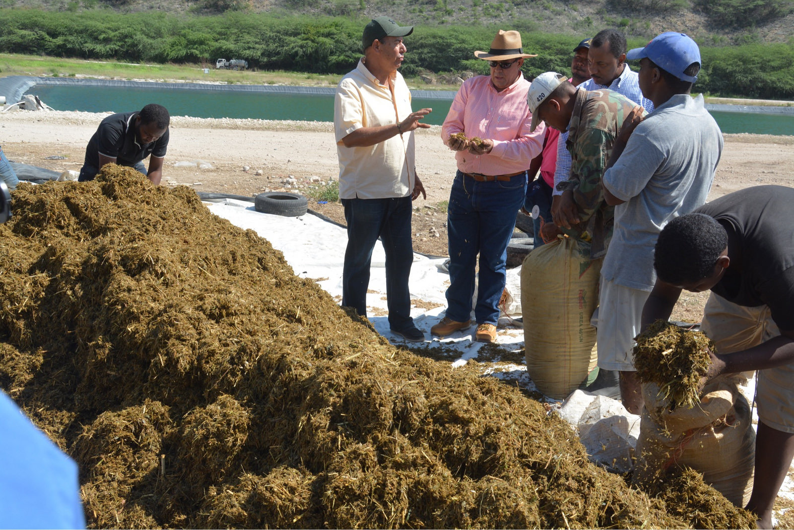 REPÚBLICA DOMINICANA: Proyecto El Espartillar en Duvergé es el mayor productor de forrajes en el país; ganaderos conocen avances