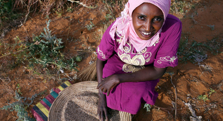 Fortalecer y proteger a las mujeres rurales es prioritario para el desarrollo sostenible