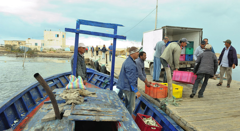 Un preciado litoral: cómo adaptarse al cambio climático en Túnez