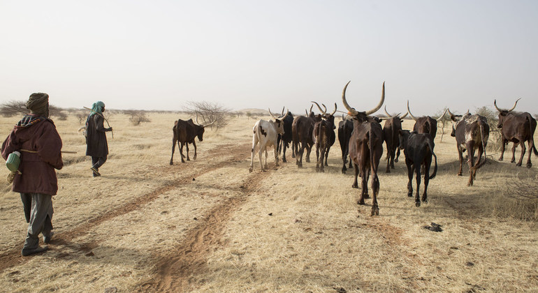 Los pastores del Sahel, de exploradores en busca de agua al satélite y el teléfono móvil