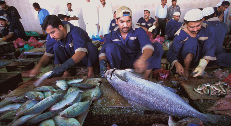 Bajos salarios y horribles condiciones laborales afectan a millones de pescadores