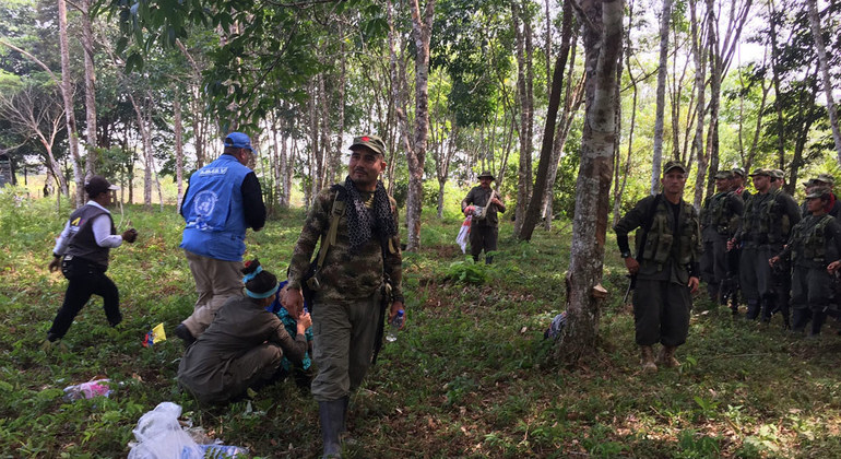 Expertos denuncian posible ejecución extrajudicial de un excombatiente de las FARC en Colombia