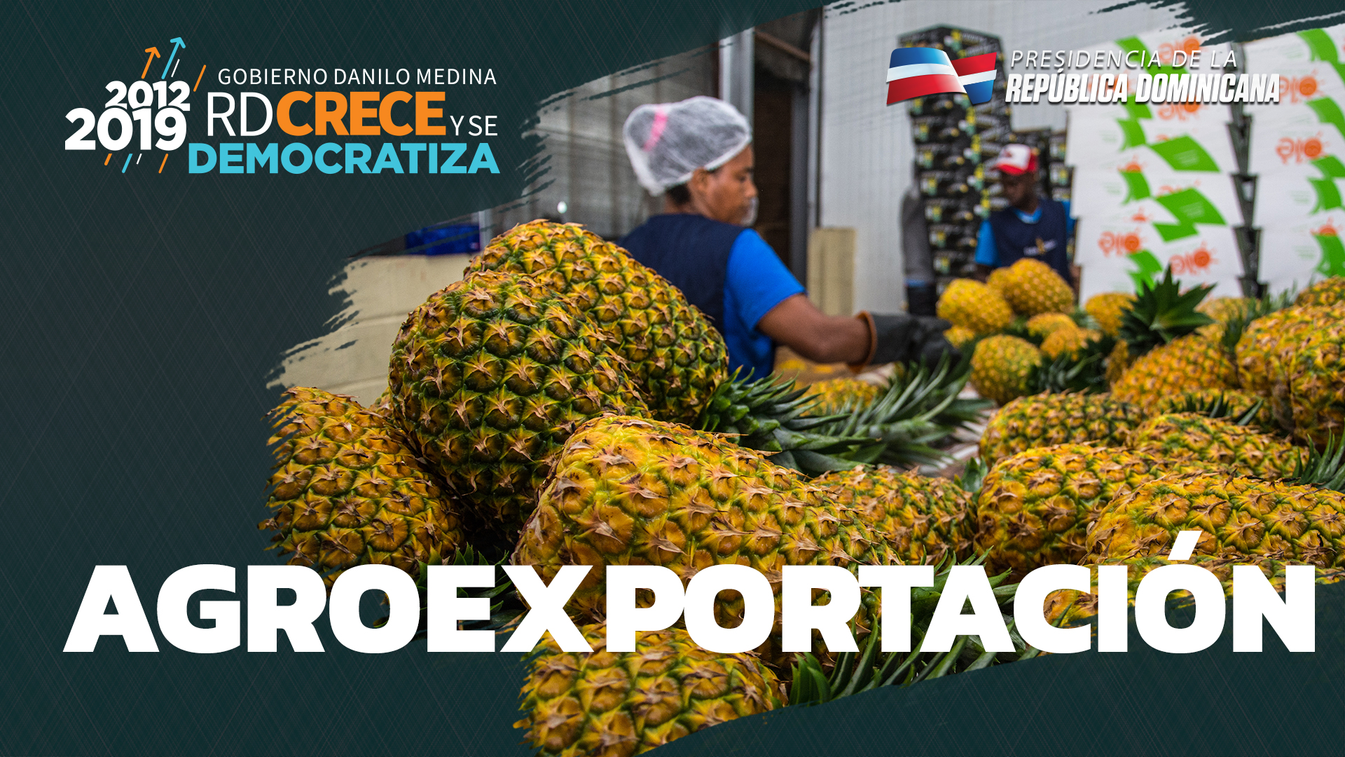 REPÚBLICA DOMINICANA: Exportaciones campo dominicano crecen sin precedentes en últimos 7 años, mejorando calidad de vida de agricultores y sus familias
