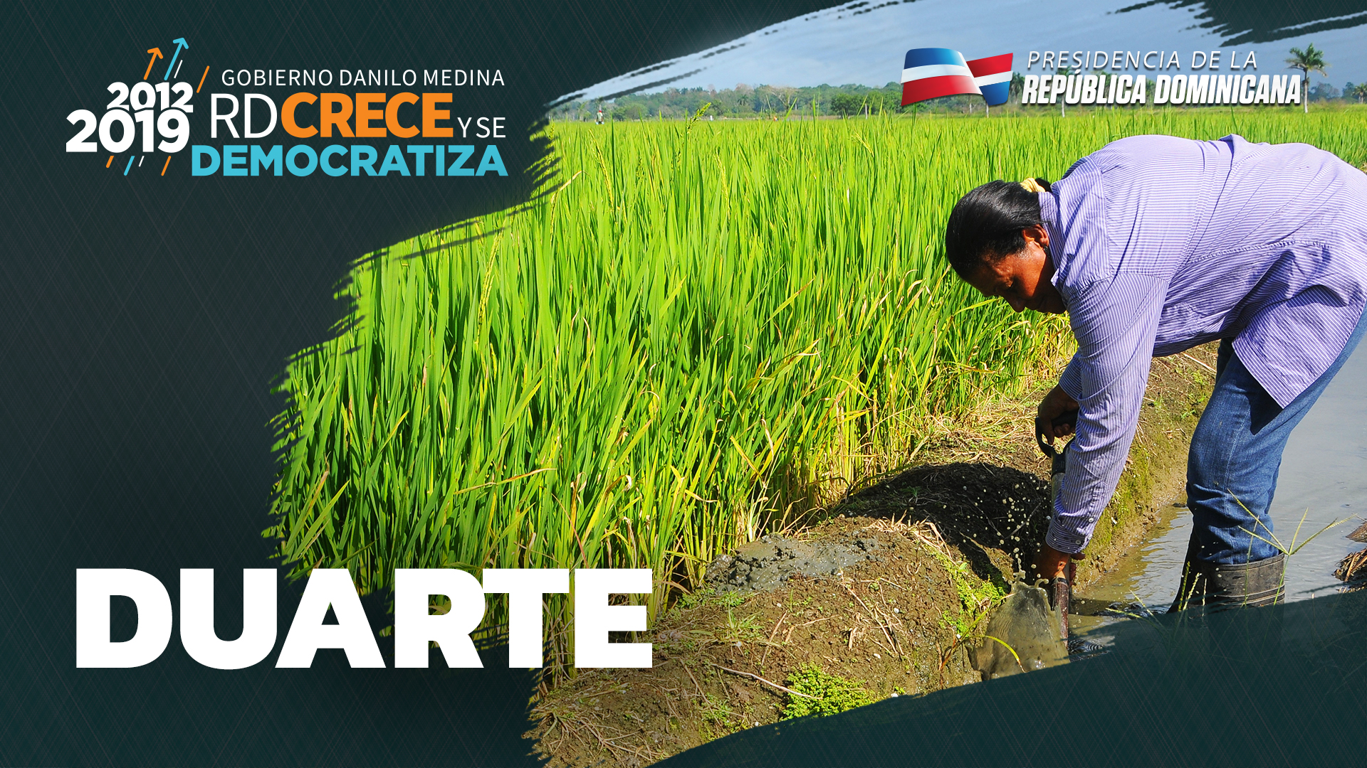 REPÚBLICA DOMINICANA: Francomacorisanos consagran provincia Duarte como potencia agrícola con más de 2 millones de tareas en producción