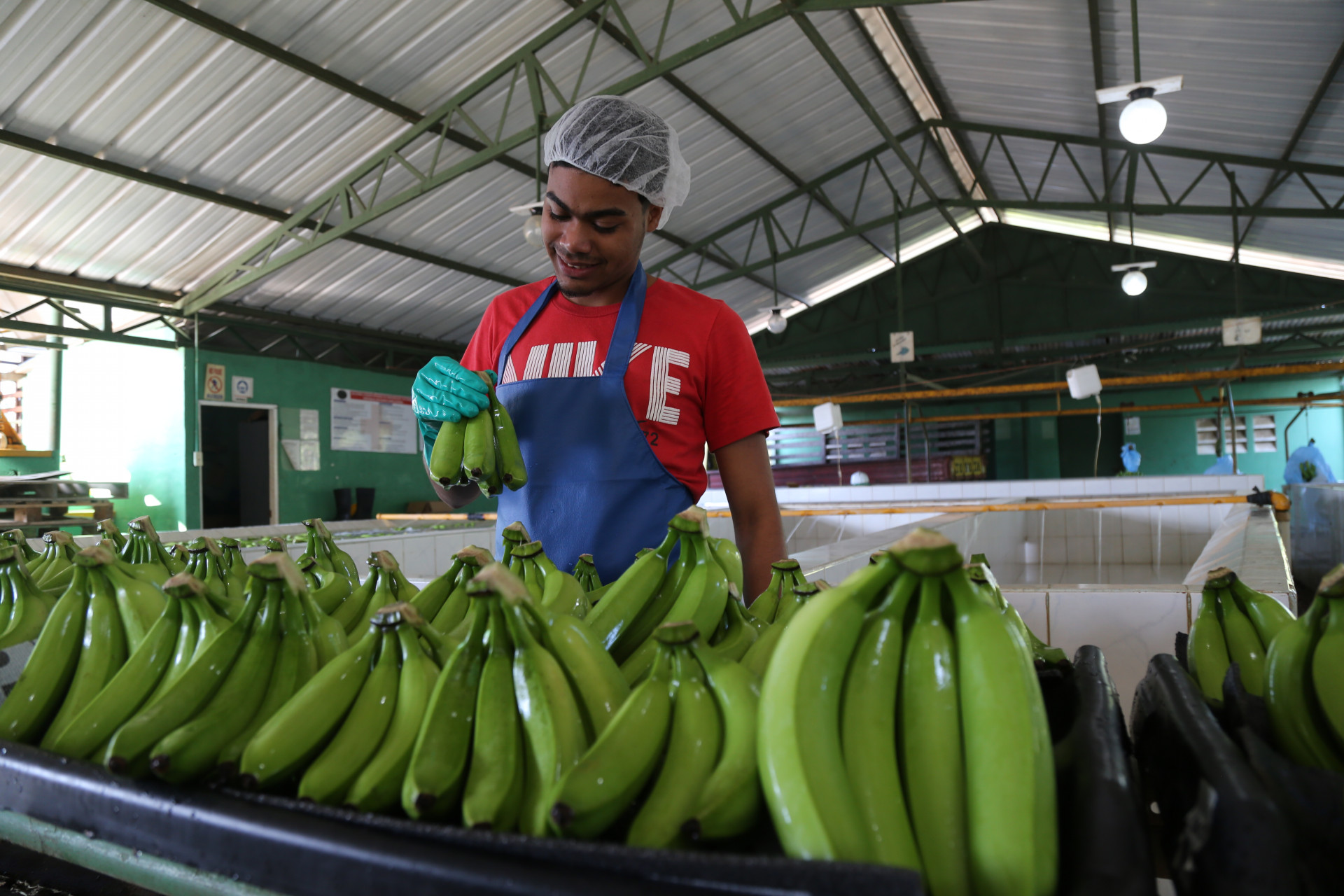 REPÚBLICA DOMINICANA: Presidente Danilo Medina prioriza a la agroindustria e industria nacional en las compras públicas