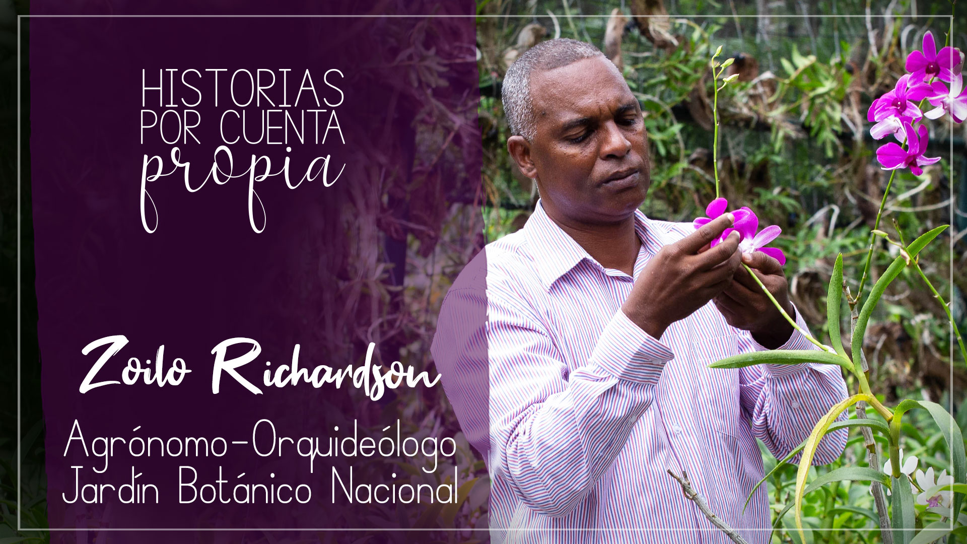 REPÚBLICA DOMINICANA: ¿Sabías que en RD tenemos 350 especies endémicas de orquídeas? Además, una reserva científica y un precioso orquideario.