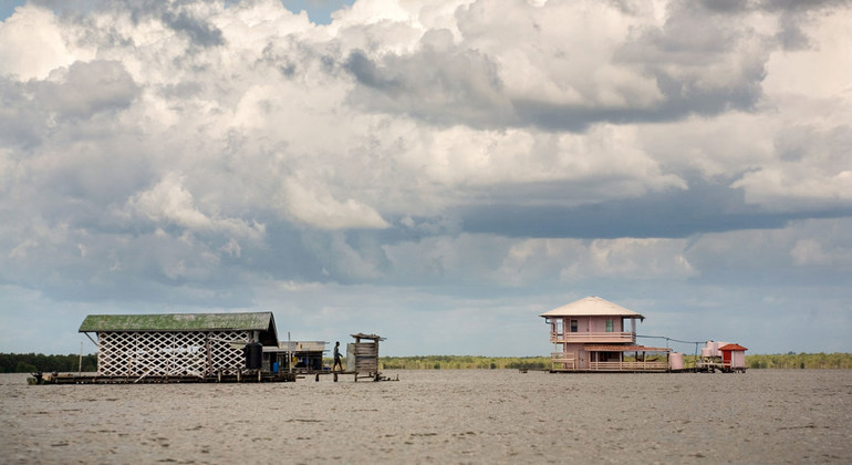 La gran importancia de Surinam para afrontar el cambio climático