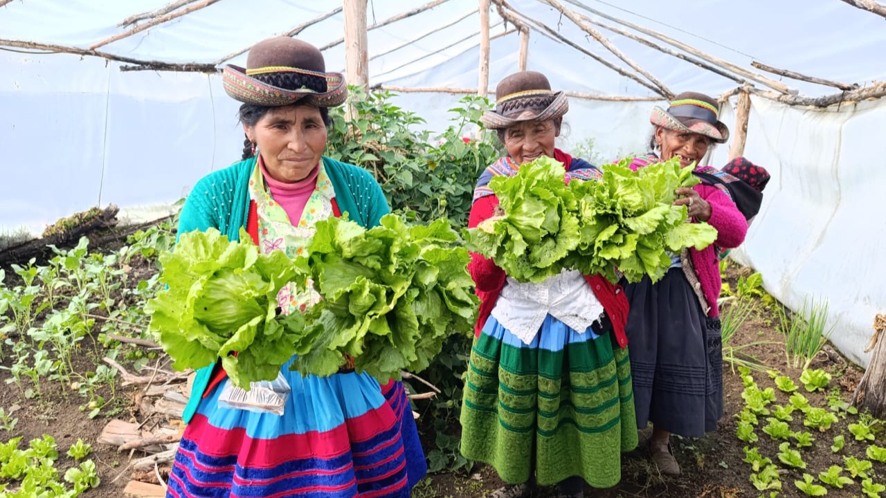 Tambos del Programa PAIS en Ayacucho se convierten en espacios de la lucha contra la anemia