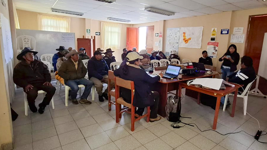 Programa PAIS: productores de camélidos se capacitan en transformación y comercialización de carne de llama en Tambo Tisco