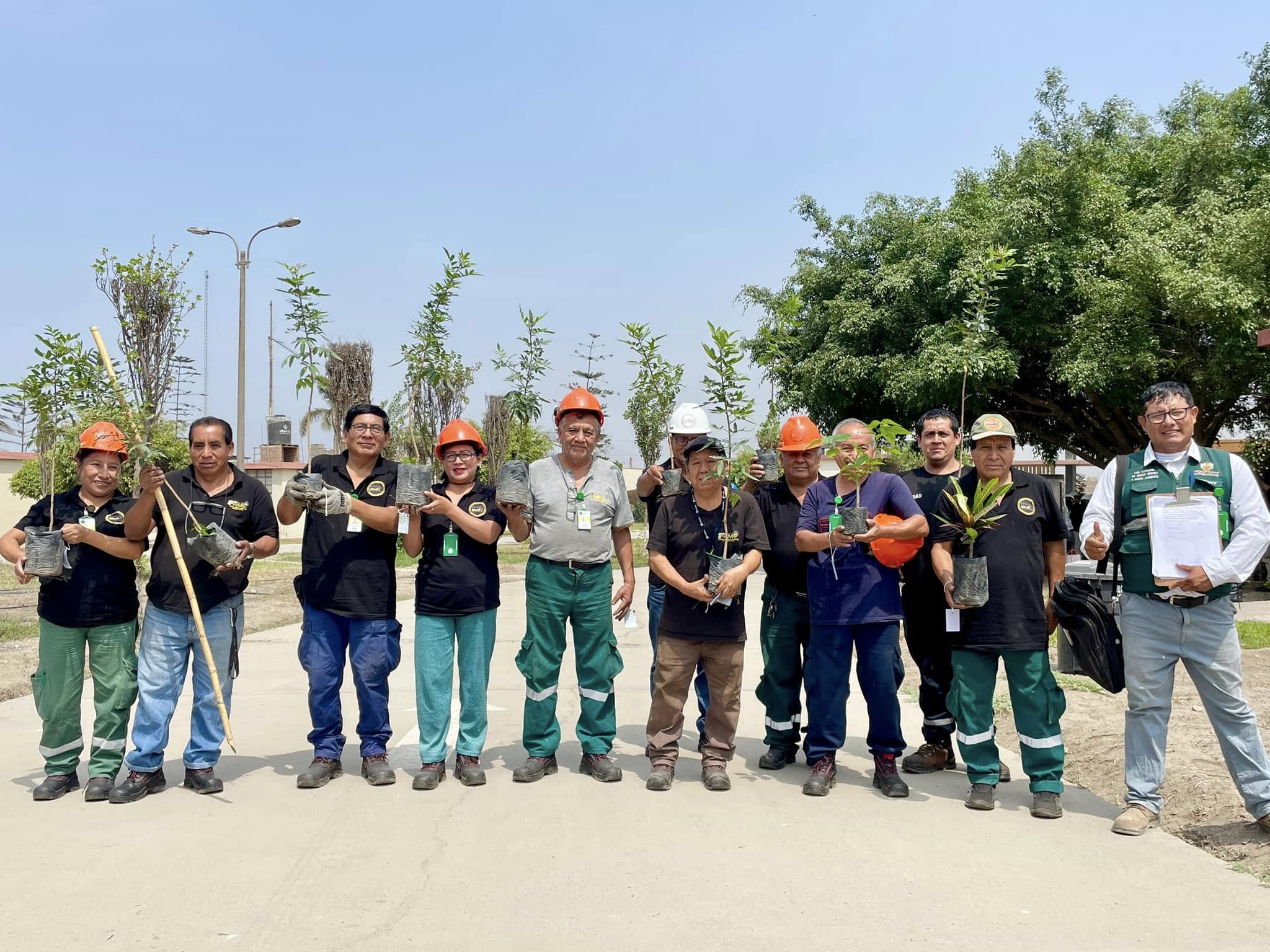 FAME se une a la iniciativa ecológica de la Municipalidad de Lurigancho-Chosica con campaña de arborización en Cajamarquilla