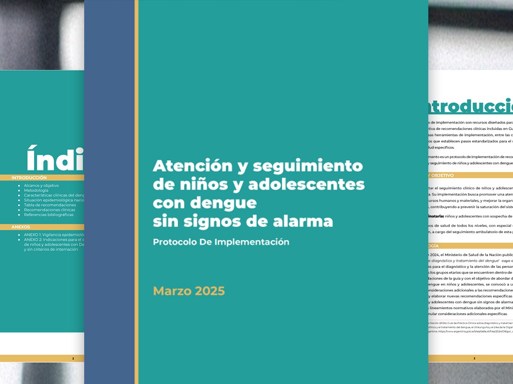 Salud Publicó el Protocolo para la Atención de Niños y Adolescentes con Dengue Sin Signos de Alarma