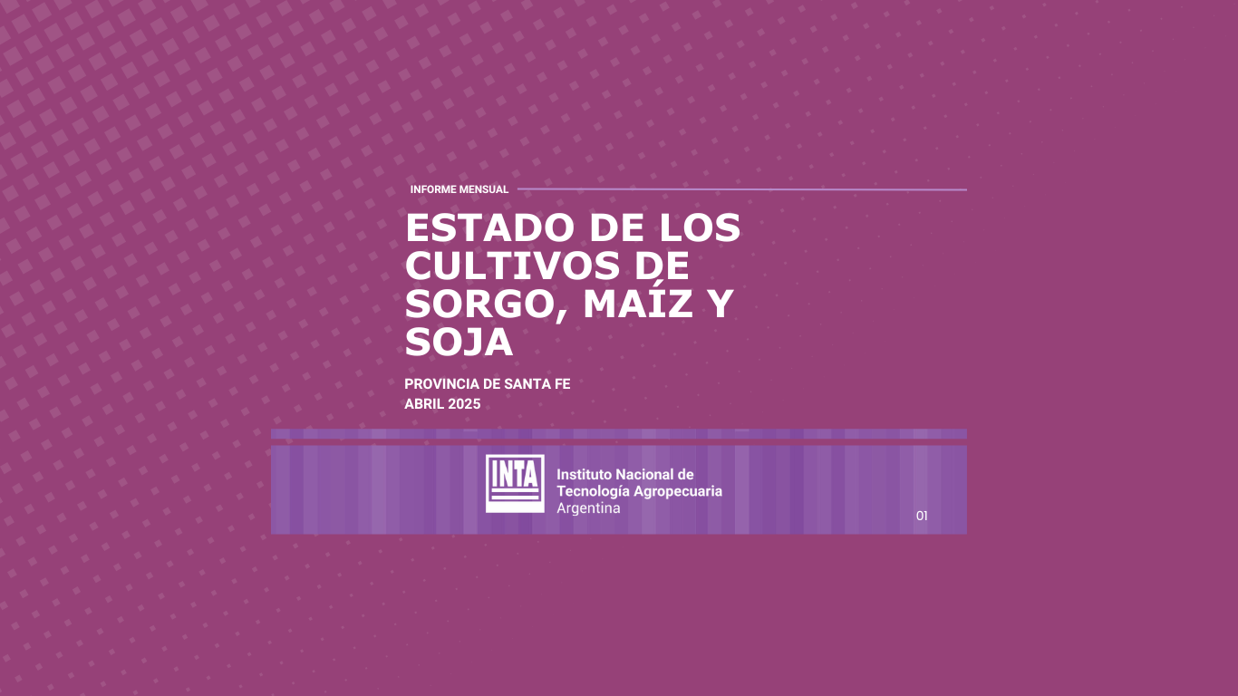 Estado de los Cultivos Extensivos en la Provincia de Santa Fe. Informe Mensual. Abril 2025
