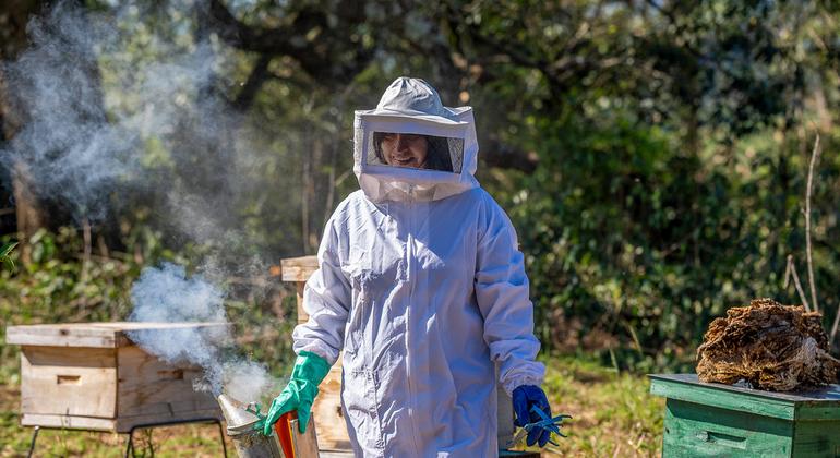 Empoderamiento de comunidades rurales en América del Sur para revertir la deforestación