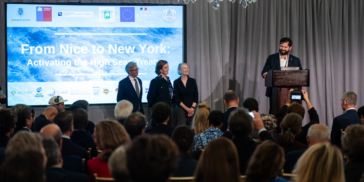 Boric celebra próxima entrada en vigor del Acuerdo BBNJ y destaca compromiso de Chile con la biodiversidad marina