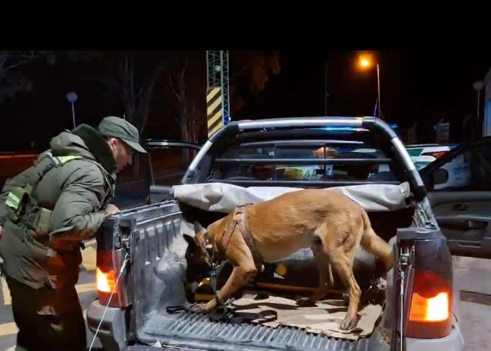 Tres detenidos en San Juan y Mendoza por incautación de drogas