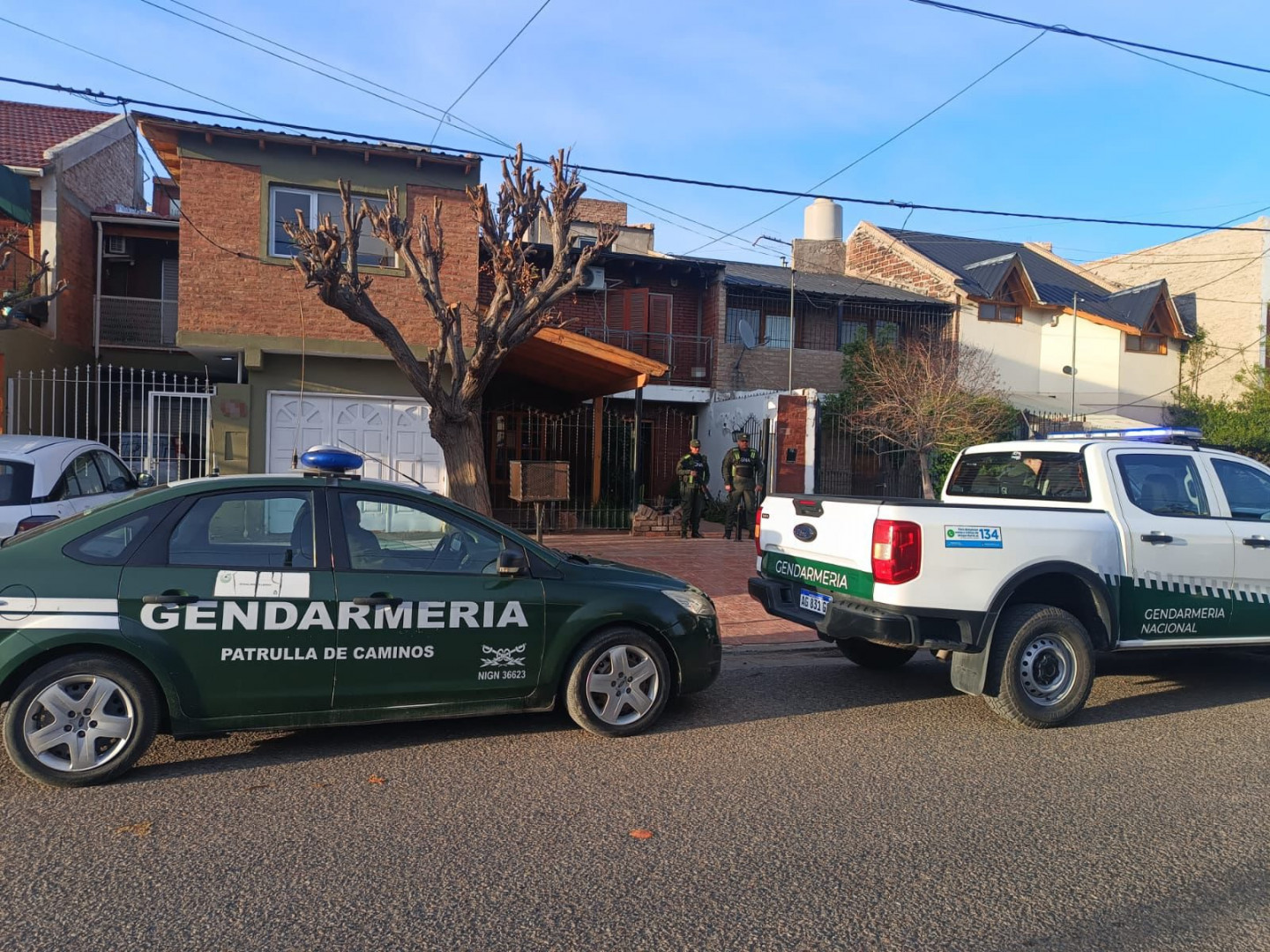 Neuquén: Secuestran encomiendas con estupefacientes en dos ómnibus y allanan dos domicilios al detectar un invernadero destinado a cultivo de marihuana
