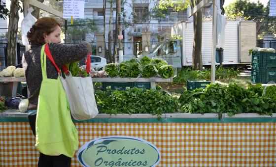 Once chefs de América Latina se suman a Naciones Unidas para combatir el desperdicio de alimentos