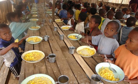 ONU llama a la unidad para avanzar en sistemas alimentarios sostenibles con motivo del Día Mundial de la Alimentación