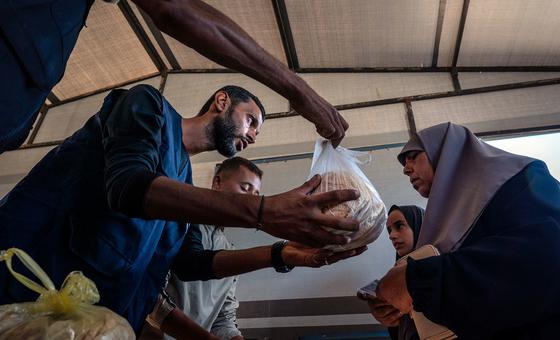 Esfuerzos humanitarios en Gaza continúan ante obstáculos logísticos
