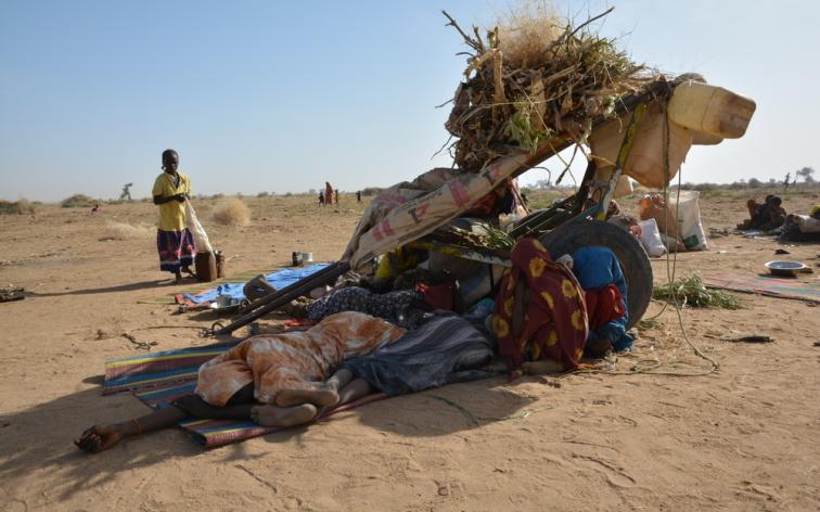 Solicitan que termine la violencia sexual en Darfur, Sudán