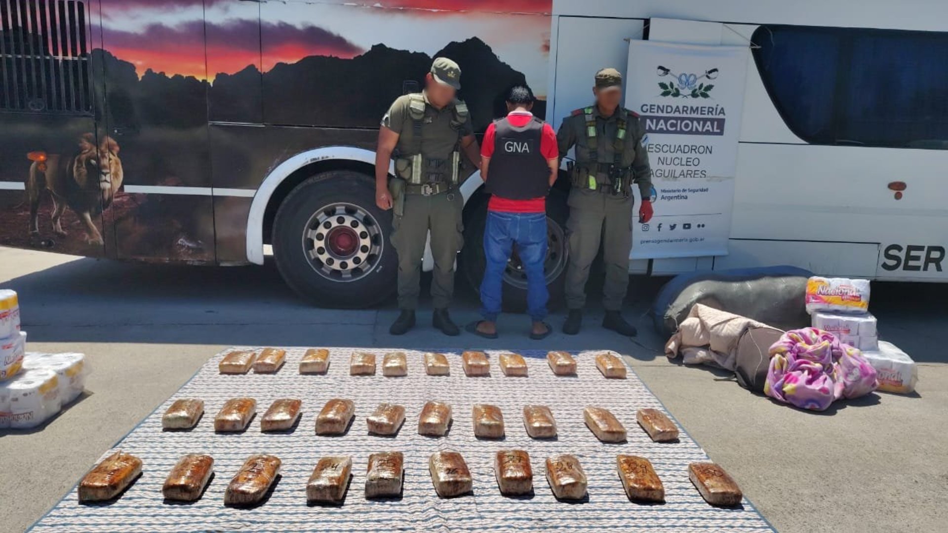 Incautan 31 kilos de droga y detienen a un pasajero en Tucumán, según la policía